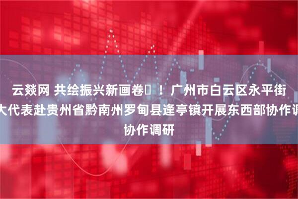云燚网 共绘振兴新画卷‌！广州市白云区永平街人大代表赴贵州省黔南州罗甸县逢亭镇开展东西部协作调研