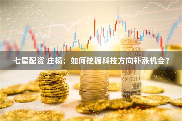 七星配资 庄杨：如何挖掘科技方向补涨机会？