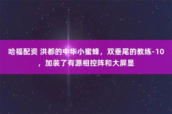 哈福配资 洪都的中华小蜜蜂，双垂尾的教练-10，加装了有源相控阵和大屏显