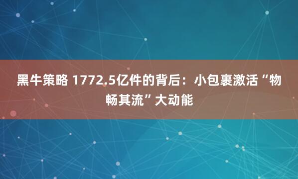 黑牛策略 1772.5亿件的背后：小包裹激活“物畅其流”大动能